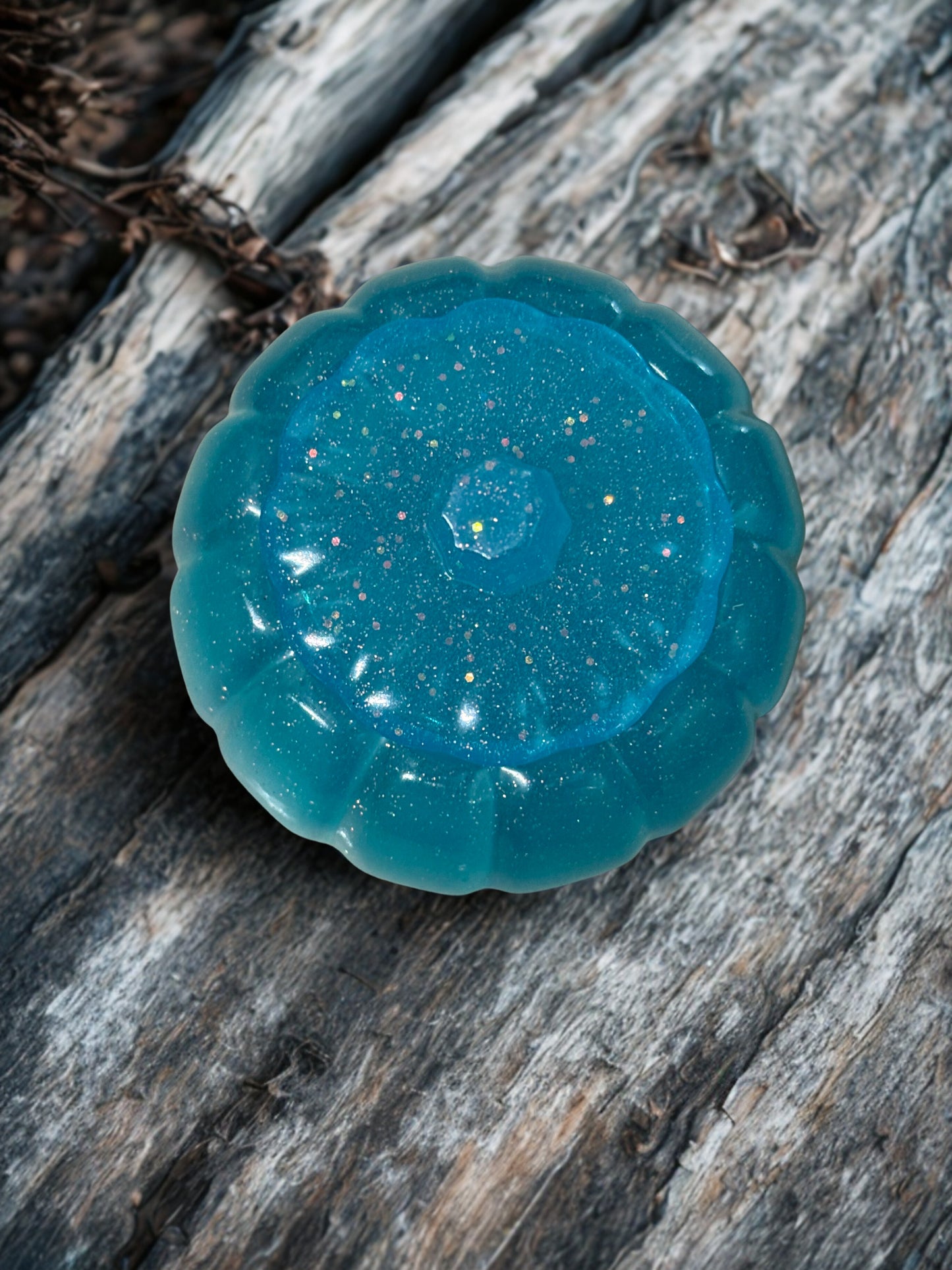 Pumpkin - Light Teal